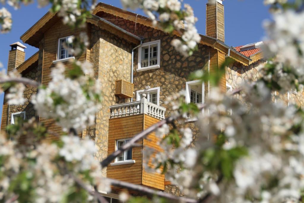 Le Palais Des Cerisiers Hotel อัซโร ภายนอก รูปภาพ