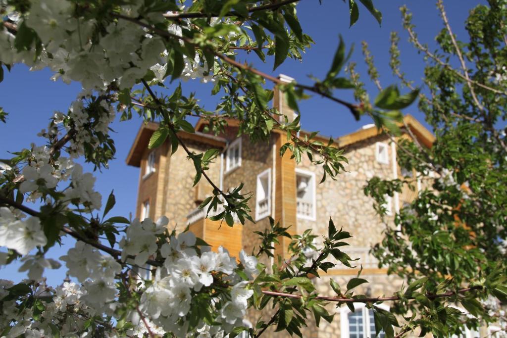 Le Palais Des Cerisiers Hotel อัซโร ภายนอก รูปภาพ